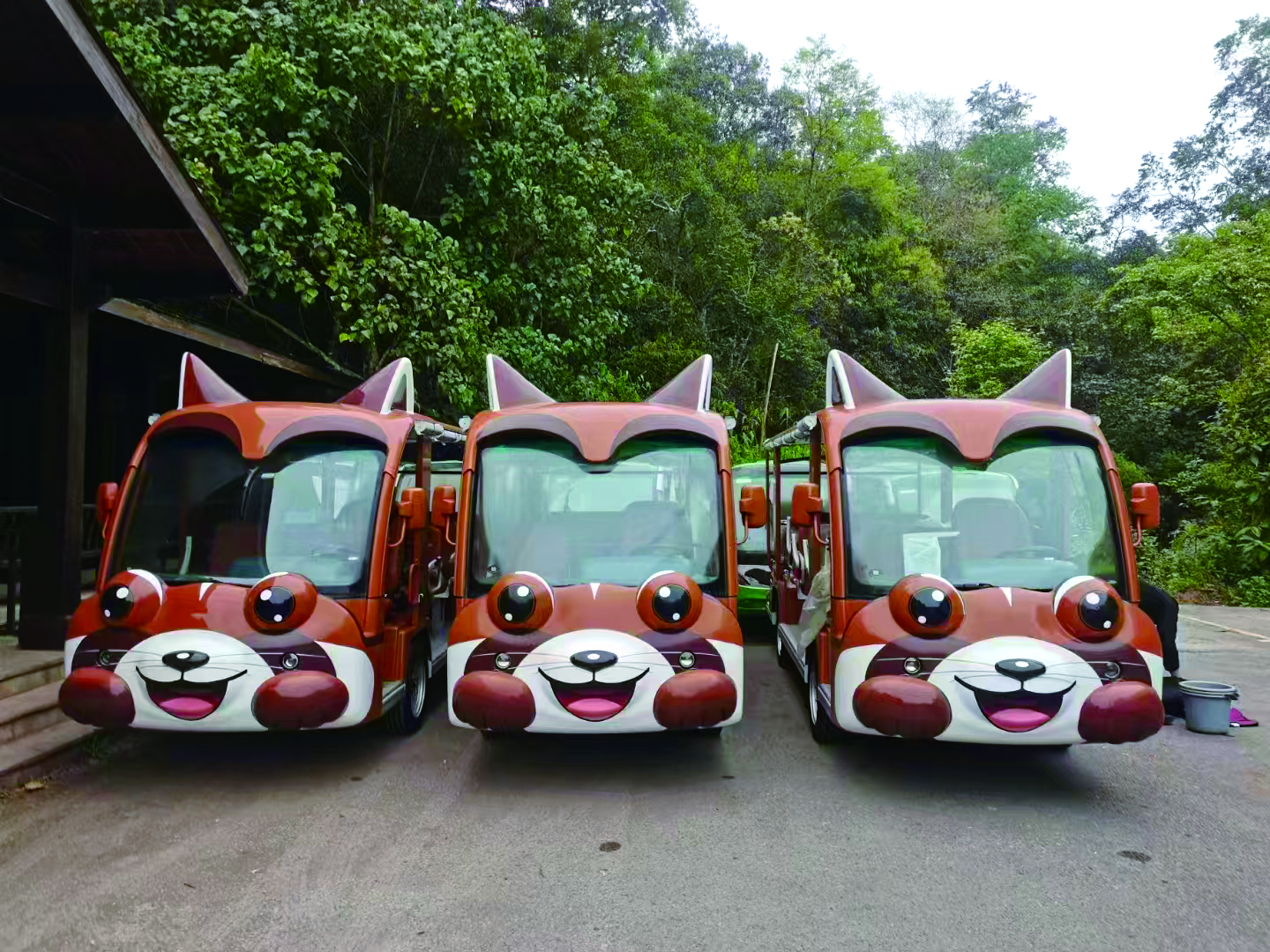 普洱小熊猫庄园景区