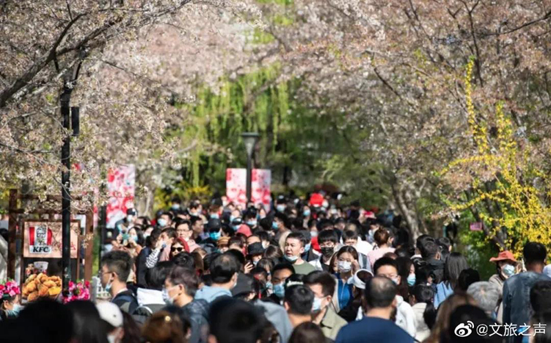 复苏！清明假期旅游市场稳步上升