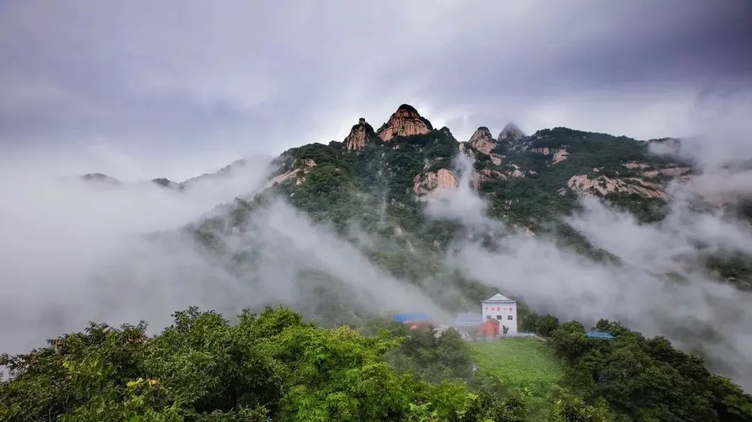 五大热门景区真实运营揭秘，看看客户为何选择宇通观光车？