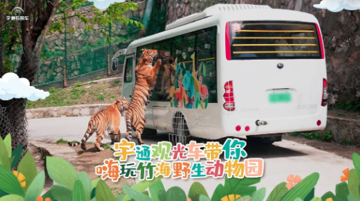 所有郑州人免费了！宇通观光车带你嗨玩竹海野生动物园！