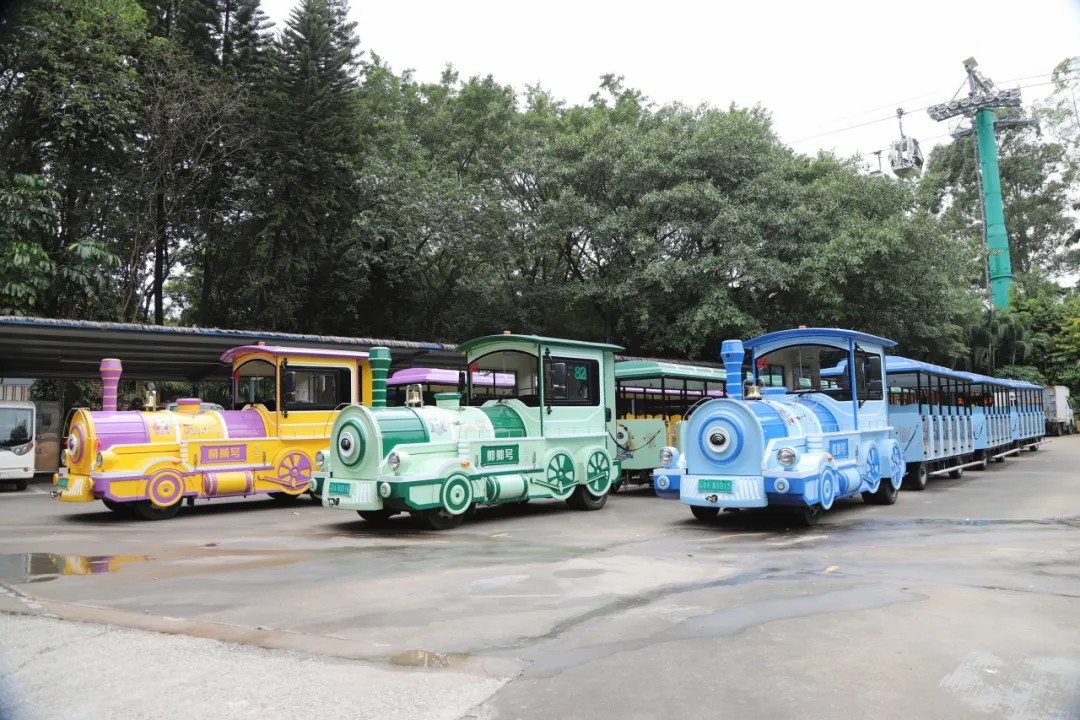 4万公里 ，100%出勤率！宇通观光车助力长隆打造沉浸式生态之旅